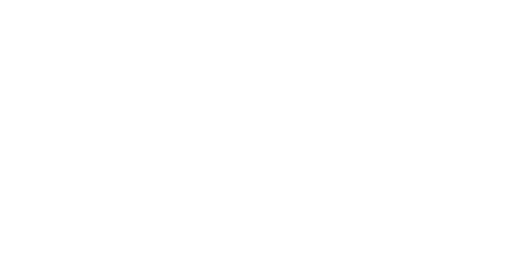 Apple Pay Logo